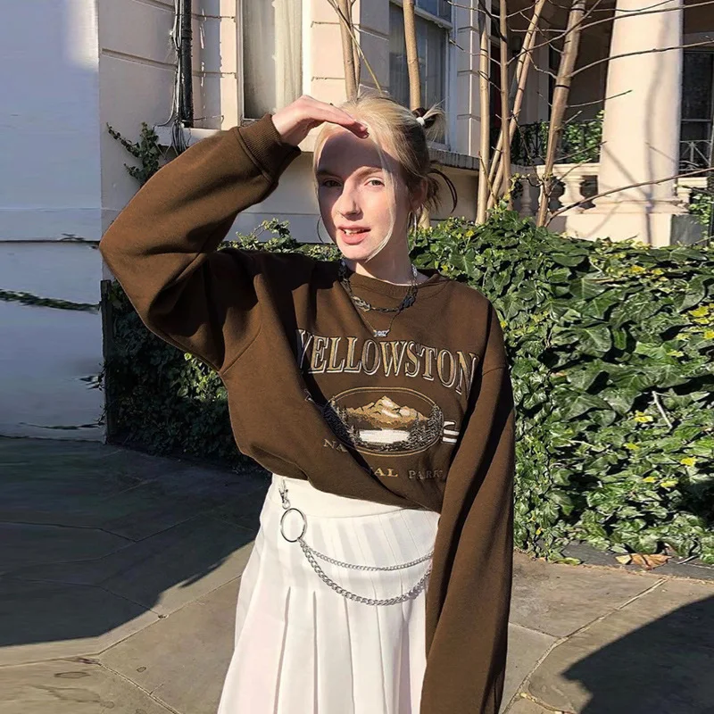 New Fall Indie Aesthetic Sweatshirts Y2K Fashion Streetwear