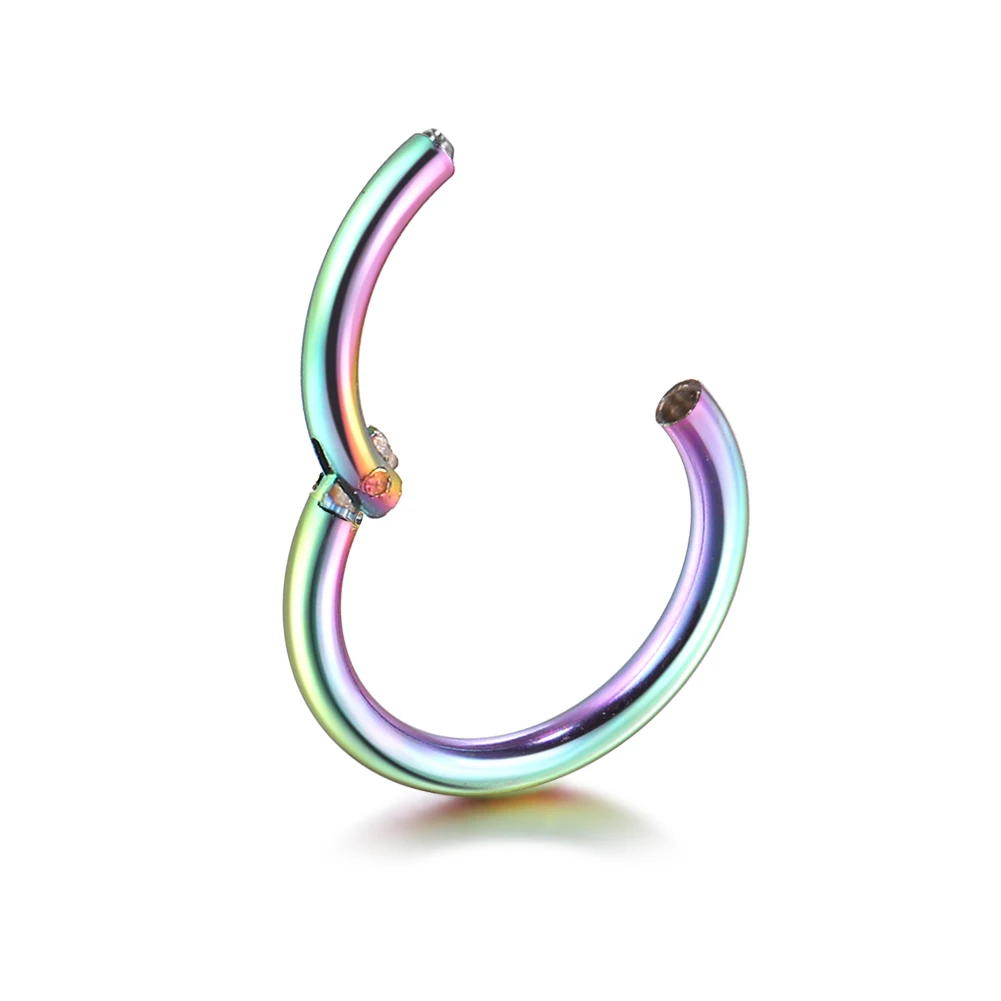 2Pcs/lot G23 Titanium Fake Nose Ring Goth Punk Lip Ear Nose Clip On Fake Septum Piercing Nose Ring Hoop Lip Hoop Rings Earrings