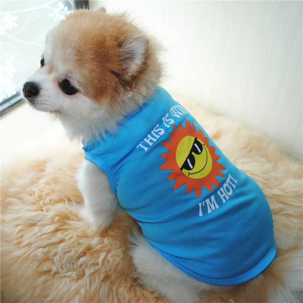 9324867848_361259826