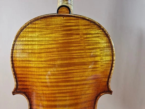 Spruce, 70-Old Spruce Stradivarius violino Spruce Europeia, 4/4