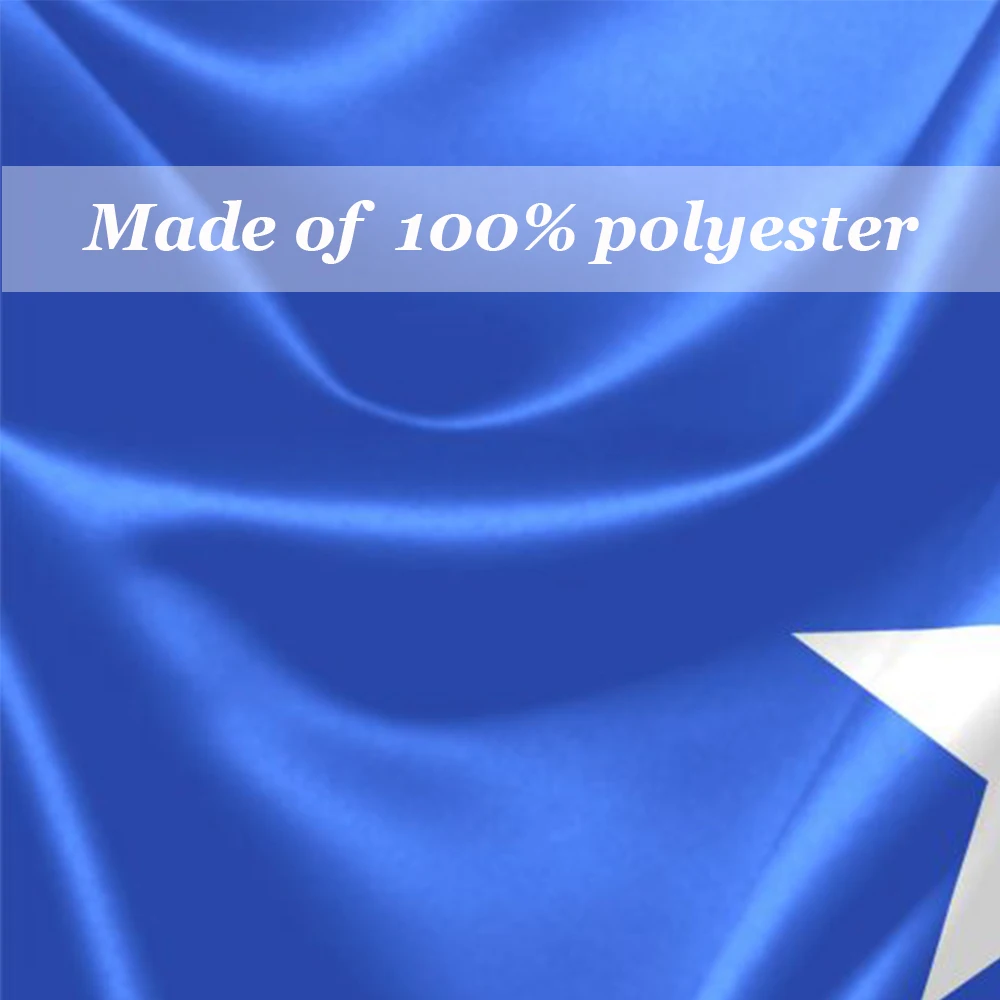 New Zealand Silver Fern Flag 3X2FT 5X3FT 6X4FT 8X5FT 100D Polyester Banner 