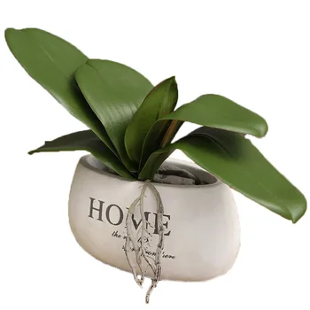 

1Pcs Artificial Plants Real Touch Phalaenopsis Leaf Decorative Flowers Auxiliary Material Flower Decoration Orchid Leaves