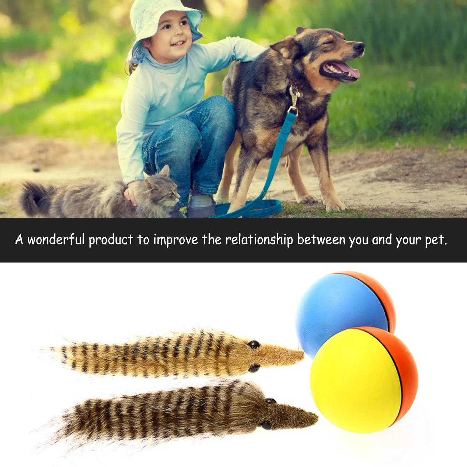 Pet Dog Cat Toy Weasel Motorized Funny Rolling Ball Beaver Balls pet toys  pet products cat accessories pet - Price history & Review, AliExpress  Seller - 188 Flowers Store