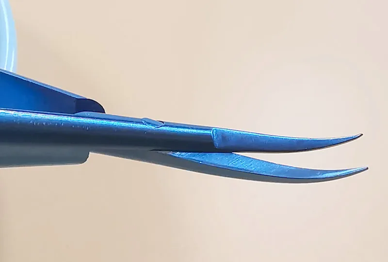 IMG_20190901_104444_BURST001_COVER