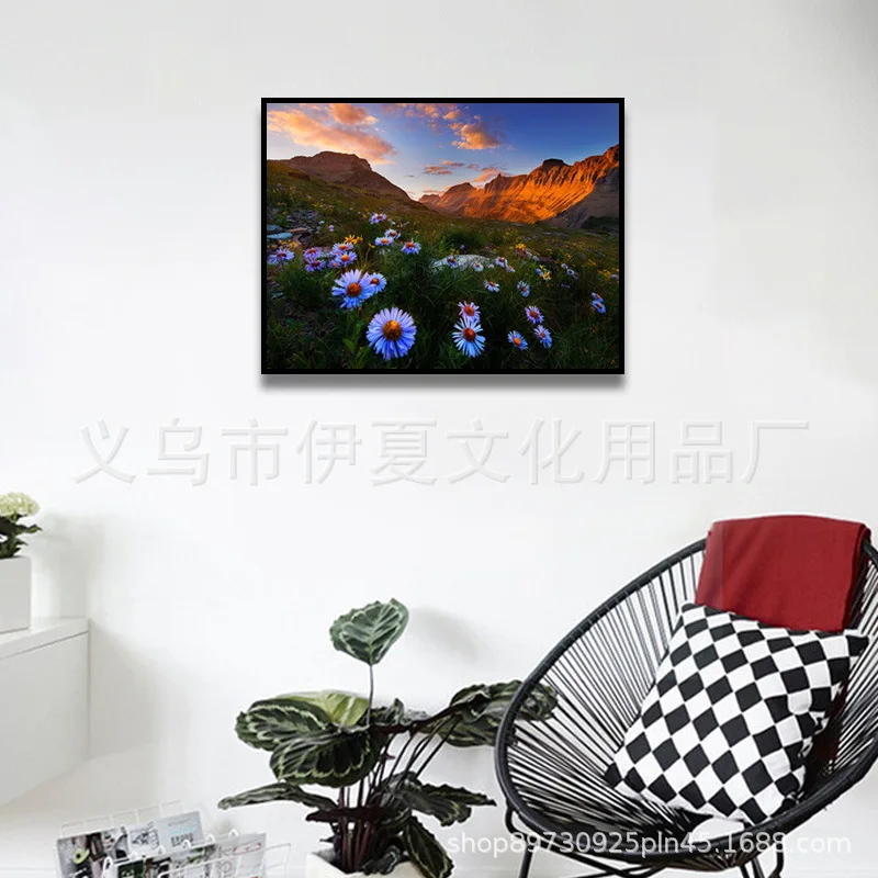 

Digital Oil Painting DIY More Map Supply Home Decoration Scenery Flower Painting 40*50 Cross Border Direct Selling