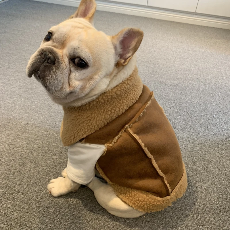 Французская одежда для бульдога, зимнее пальто для собак, куртка мопс, одежда для собак шнауцер, одежда для собак, замшевый кашемировый жилет для питомцев, костюм, одежда