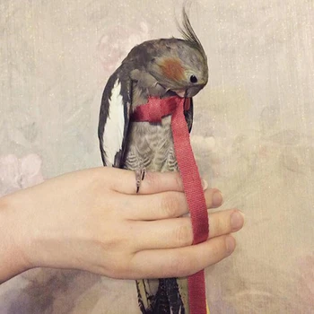 

Anti-bite Flying Training Rope Parrot Bird Harness Kits Ultralight Harness Belts Adjustable Pet Bird Strap Out Rope