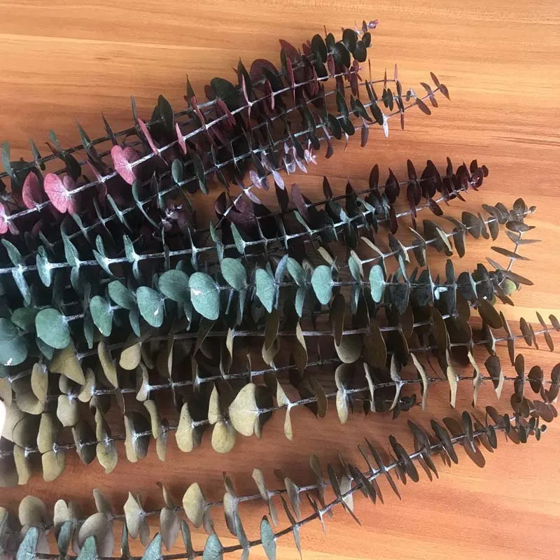 QQ图片20200811093734