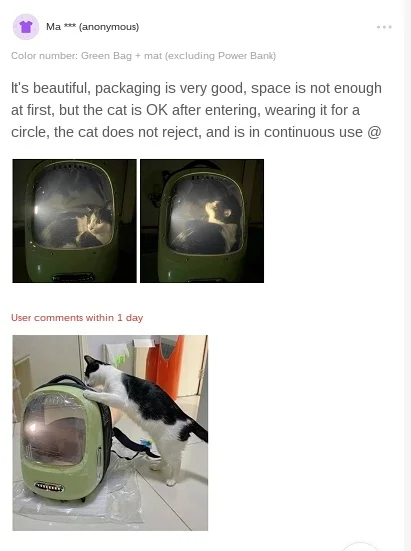 utensílios para gatos
