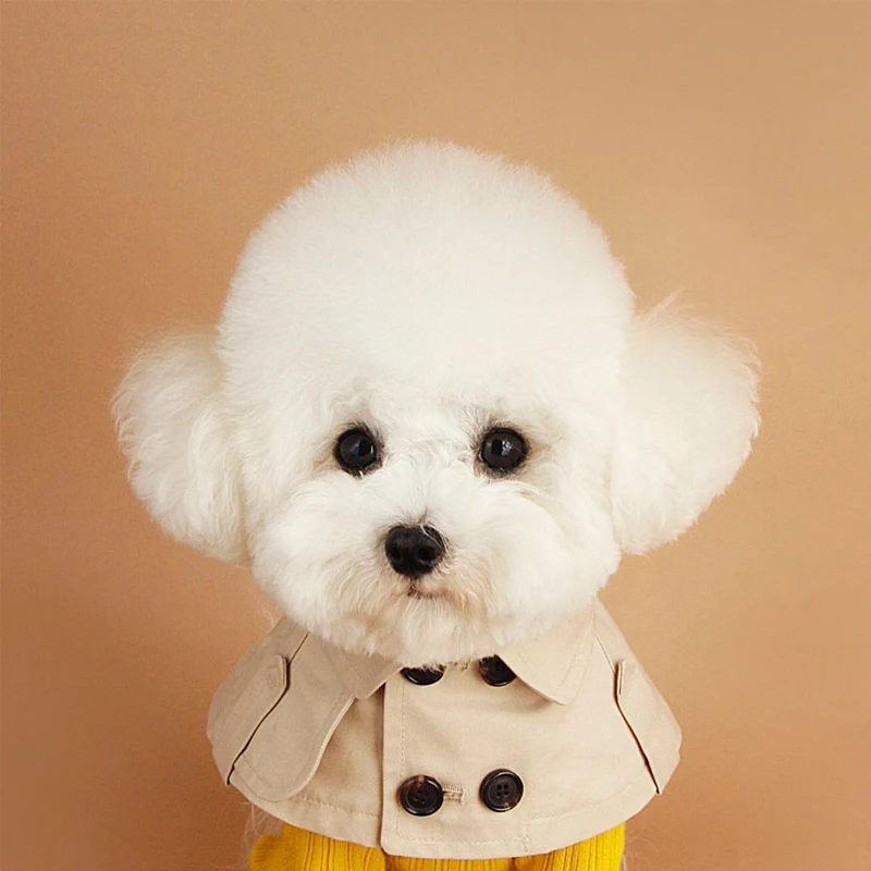 British Buttons Dog Clothes Autumn Pet Coat Brown Dog Christmas Cloak Warm Short Clothing Puppy Clothes Teddy Chihuahua Costume