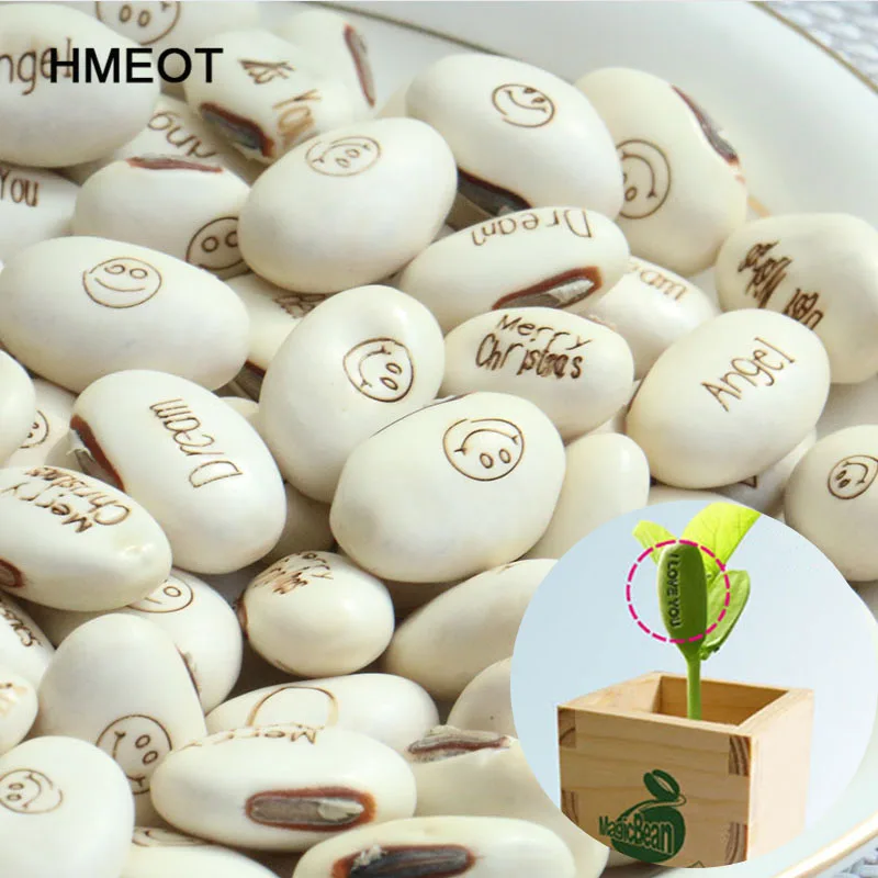 

20 pcs / bag Exotic Magic Beans Magic Growth Patterns & Words of Perennial Indoor Flowers Climbing Potted Plants New Year's Gift