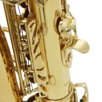 

Student Alto Saxophone E Flat Alto Sax Full Kit With Carrying Sax Case Mouthpiece Straps Reeds