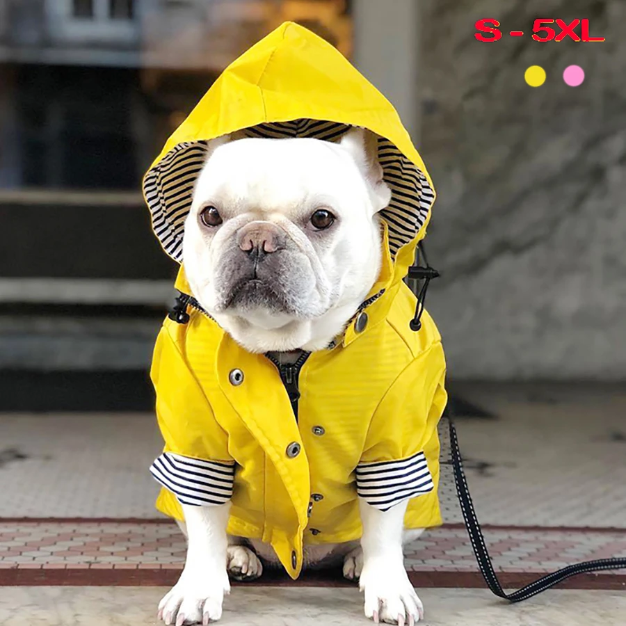 犬と猫のための防水フード付きジャケット スポーツウェア ファッショナブル 小 中 大のサイズ 犬用のコート ジャケット Aliexpress