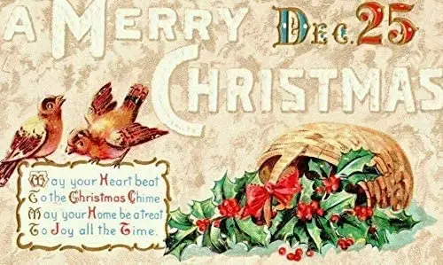

A Merry Christmas Dec 25th Birds Decoration 8 X 12 Inch Wall Commemorative Iron Painting, Home Fence