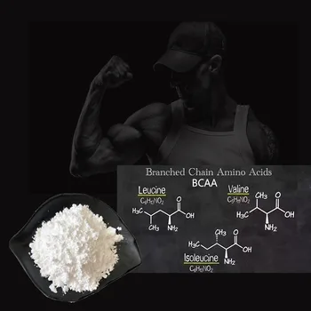 

Branch Chain Amino Acid Sports Bodybuilding BCAA anti-fatigue