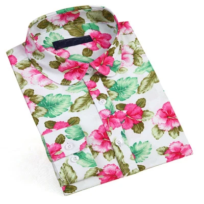 Dioufond Bohemia, женские блузки, рубашки с длинным рукавом, женские летние топы, отложной воротник, блузка, рубашка, плюс размер, 20 видов цветов - Цвет: FL019