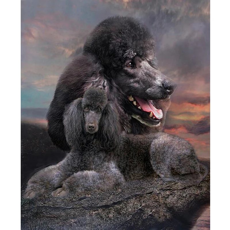 

Yumeart Volledige Vierkante Diamant 5D DIY Diamond Painting "black Poodle" Diamond Geborduurd Lightning Mosaic Nature Art Crafts