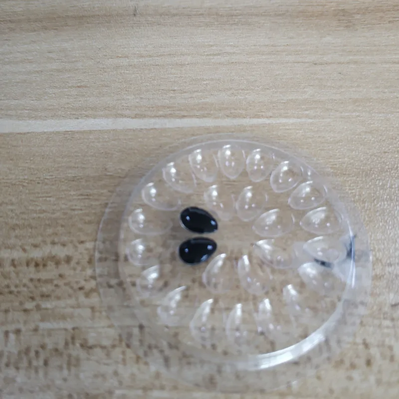 橘子13