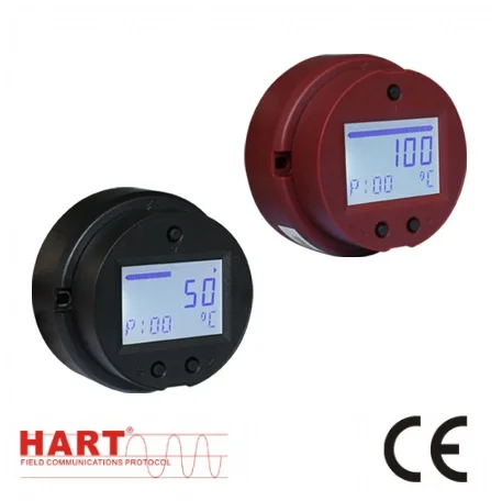 Hart Transmitter with display