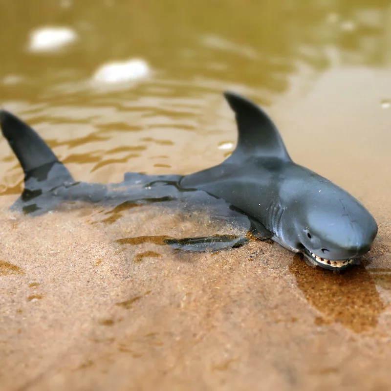 10748073124_1464955482