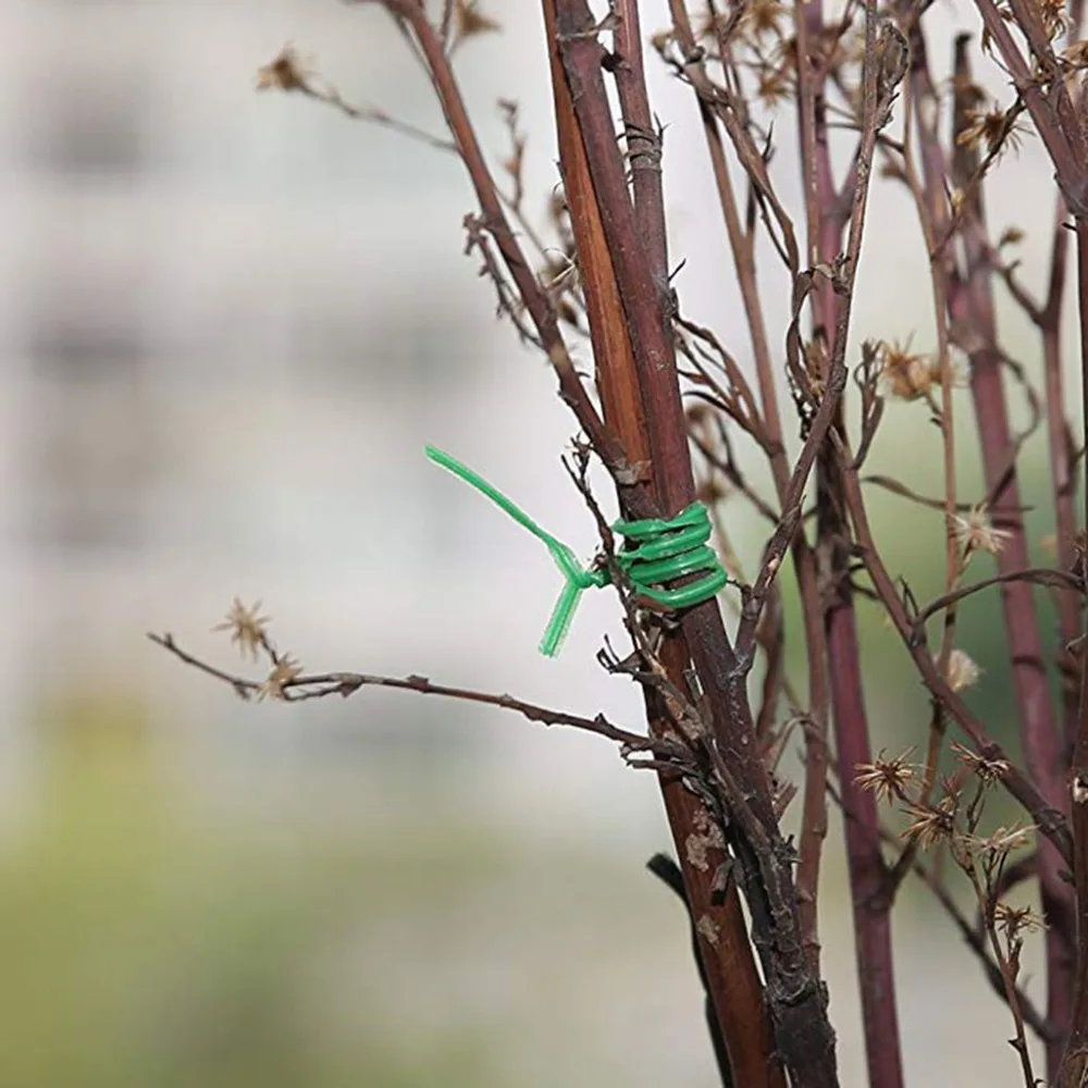 HFZ91208451_1114235457412919568