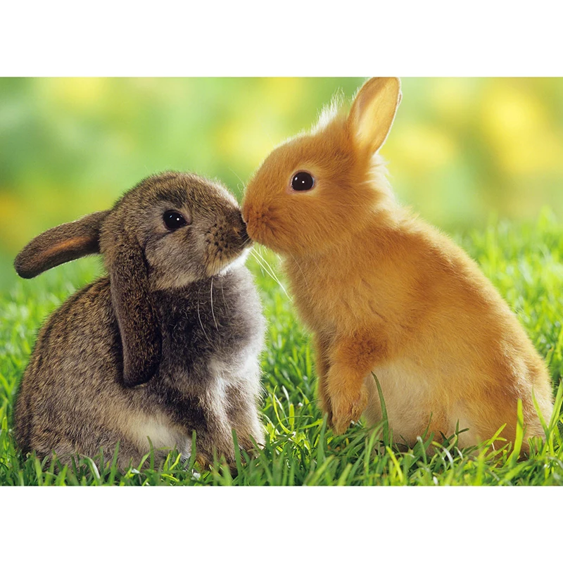 

Full Square/Round Drill 5D DIY Diamond Painting "Animal Rabbit" 3D Rhinestones Embroidery Cross Stitch 5D Home Decor Gift