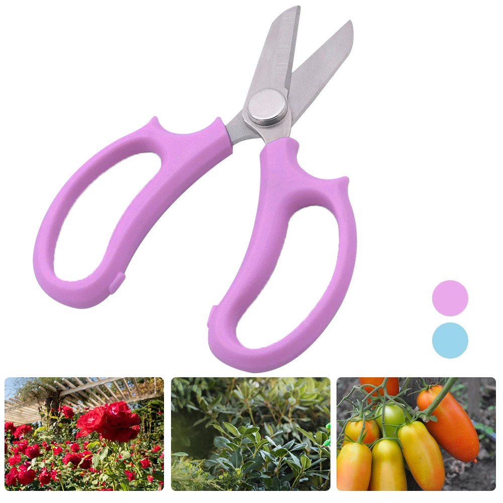 https://ae01.alicdn.com/kf/Hb27cb6e00b1a46679d75ccf35825c332d/Multifunctional-Garden-Pruning-Shears-Fruit-Picking-Scissors-Trim-Weed-Household-Potted-Branches-Small-Scissors-Garden-Tools.jpg