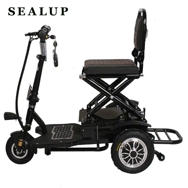 portable electric tricycle