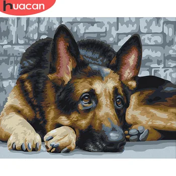 

HUACAN Painting By Number Animal Dog Kits Drawing Canvas HandPainted Picture DIY Art Home Decoration Gift