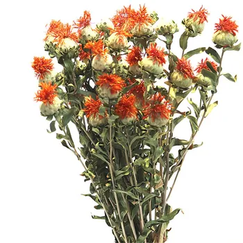 

Natural dried flower 5pcs orange pineapple bunch flower broccoli pineapple chrysanthemum dried flower bunch