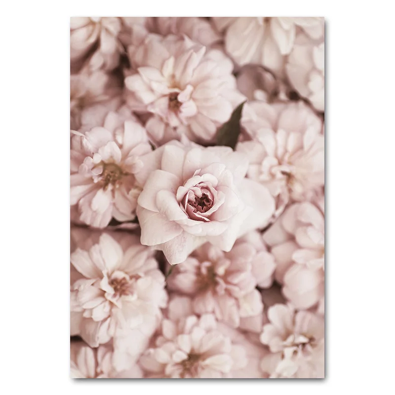 Flower-Rose-Botanical-Canvas-Art-Poster-Nordic-style-Decorative-Print-Wall-Painting-Scandinavian-Decoration-Picture-Home (1)