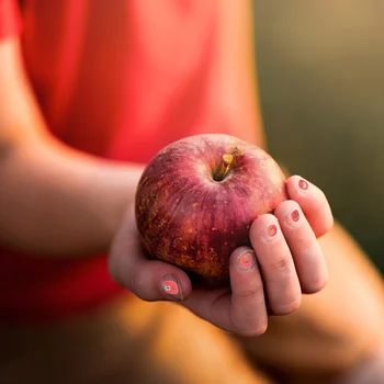 

10Pcs Decorative Nail Art Sticker Kids Nail Stickers Art Nail Stickers Lovely Nail Sticker Nail Beauty Tool for Gift Home Kids