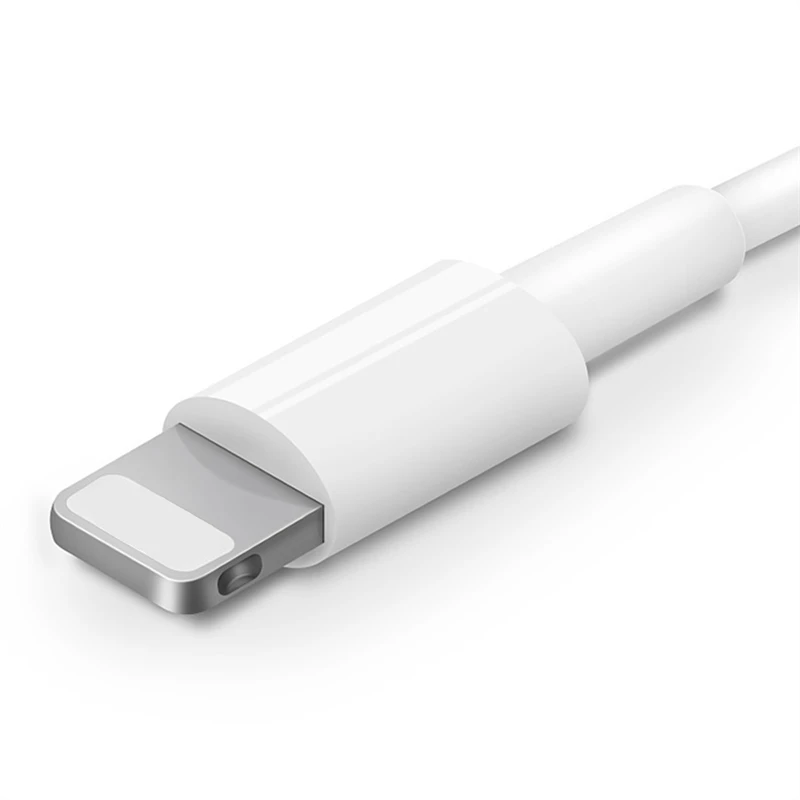 Комплект 1 м USB кабель+ ЕС штекер USB зарядное устройство для iPhone 7 8 Plus X XR XS Max 11 5s 6S 6 USB кабель для зарядки данных ЕС Путешествия настенное зарядное устройство