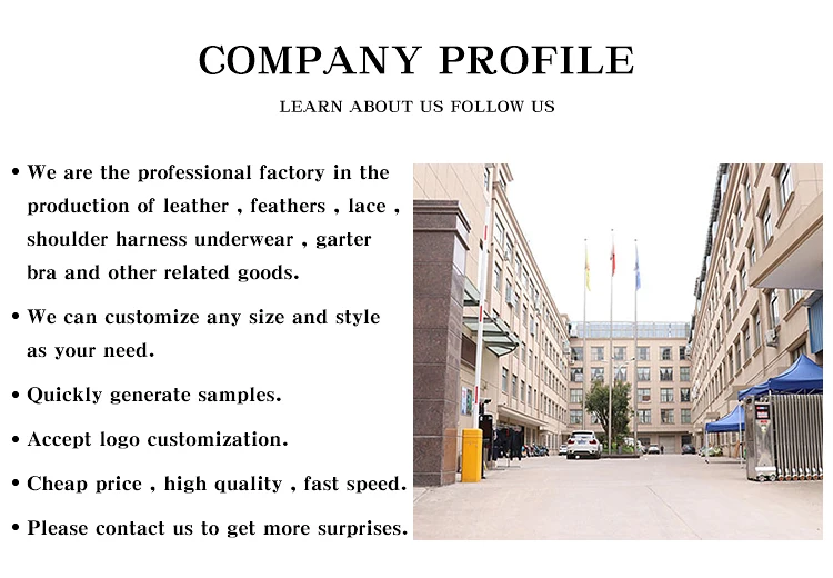 COMPANY PROFILE