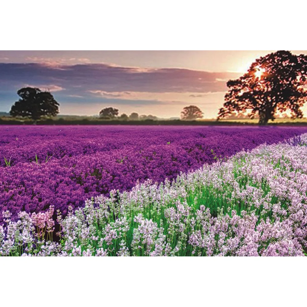 a71b1a613f5d24c273bf2cf44a40d0c4