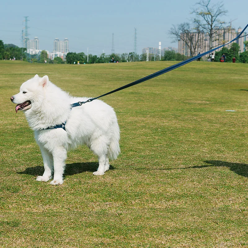 TUFF HOUND собачий Светоотражающий Поводок для собак для прогулок DogLeash свинец для маленьких средних и больших собак питбуль бульдог Мопс Бигль