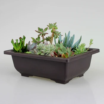 

Flower Pot Imitation Plastic Rectangle Bonsai Bowl Basin Nursery Planter Storage