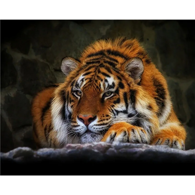 Animale Тигр Сделай Сам краска по номерам для взрослых краска по номерам Schilderen op nummer Pintar por numeros Pintura por numero - Цвет: number painting13