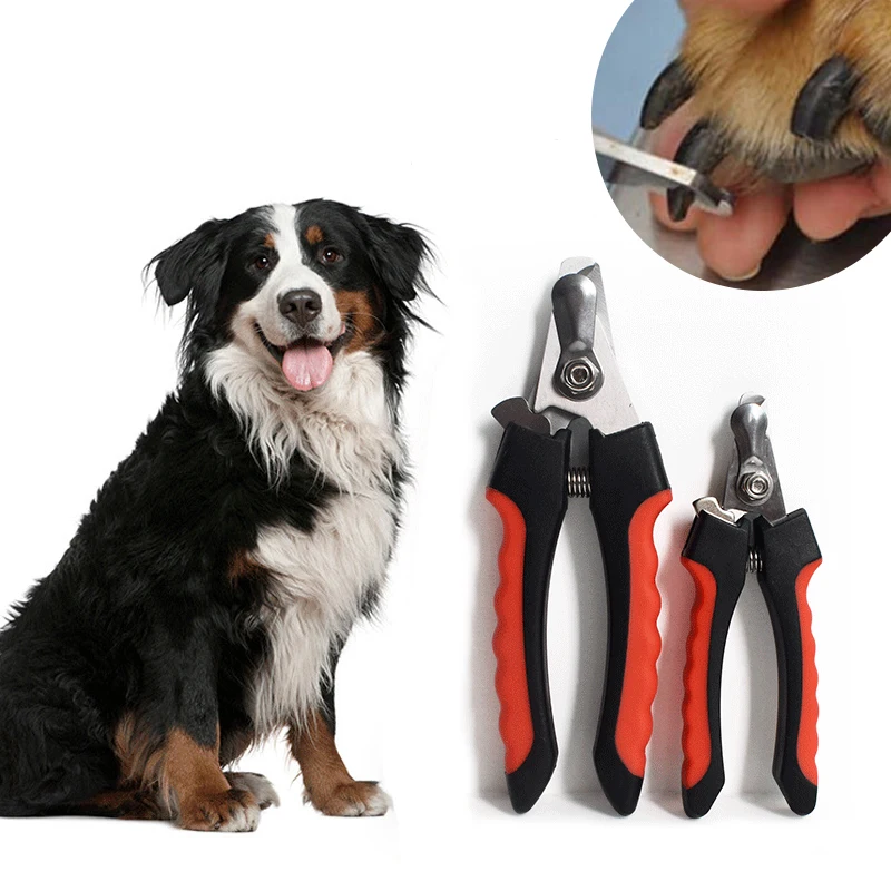 Cortador de uñas para perros profesional, cortador de Gato con Hoz, tijeras para aseo de acero inoxidable, pinzas para mascotas, suministros para perros