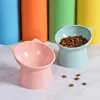 Pet Dog Cat Bowl with Raised Stand Pet Food Cat feeder Protect Cervical Vertebra cat food bowl for dogs Pet Products 1