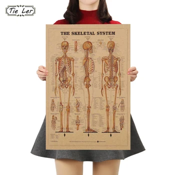 

TIE LER The Skeleton of The Body Structure Nervous System Poster Bar Home Decor Retro Kraft Paper Painting 42x29cm Wall Sticker