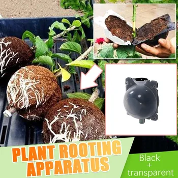 

Plant Rooting Device High Pressure Propagation Ball High Pressure Box Grafting ceramic pot bonsai tree WY707
