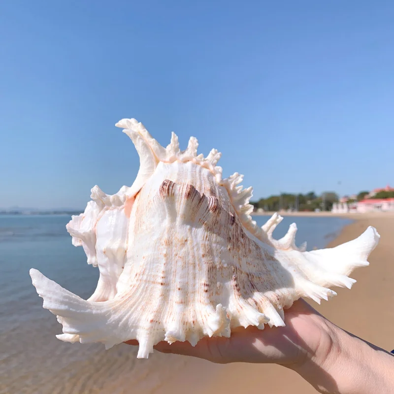 O1CN01UFXxta1Uqe3jG1kD4_!!1047672569