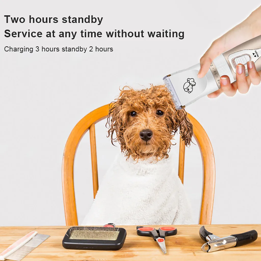 Clipper Blade Size For Labradoodle Shop Discounted clc.cet.edu