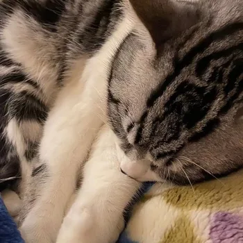 

shipfromtesthas2country