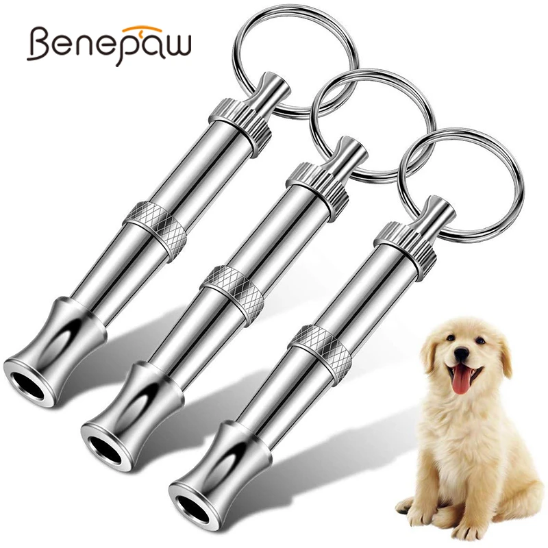 Are Dog Whistles Safe