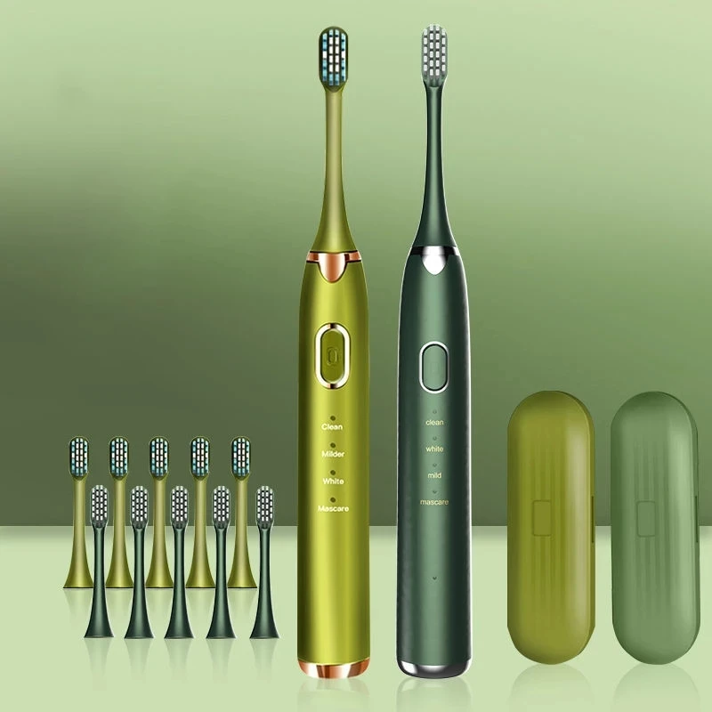 Brosse à Dents Électrique À ultrasons BS-201 Adulte Minuterie Brosse 4 Mode USB Chargeur Rechargeable IPX8 Brosses À Dents Remplacement Têtes Ensemble