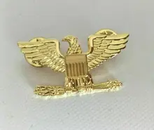  Military US Marines Collar Hat Pin Eagle Rank Badges Insignia Device armyshop2008 