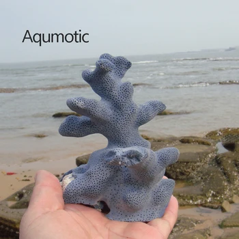 

Aqumotic Blue Coral Shihai 1pc Large Different Shapes Natural Materials Shell Home Decroa Shop Window Decoration