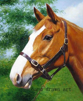 

High-quality hand-painted oil painting on canvas by old artist: Animal oil painting handsome horse head